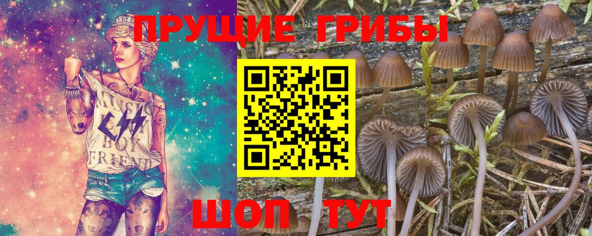 Галлюциногенные грибы MAGIC MUSHROOMS  Вход с VPN  Владимир 